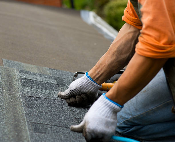 Professional Roofing Contractor in Lake Summerset, IL