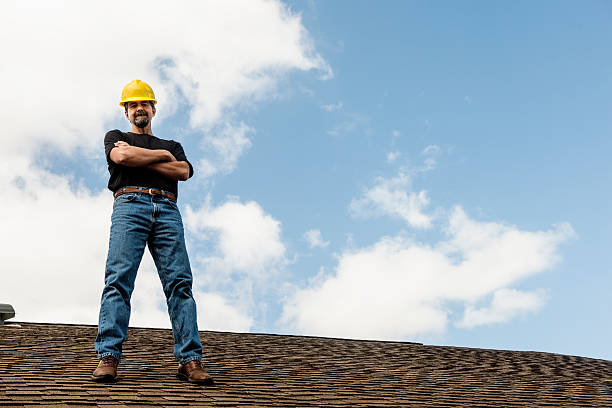 Best Flat Roof Repair Services  in Lake Summerset, IL