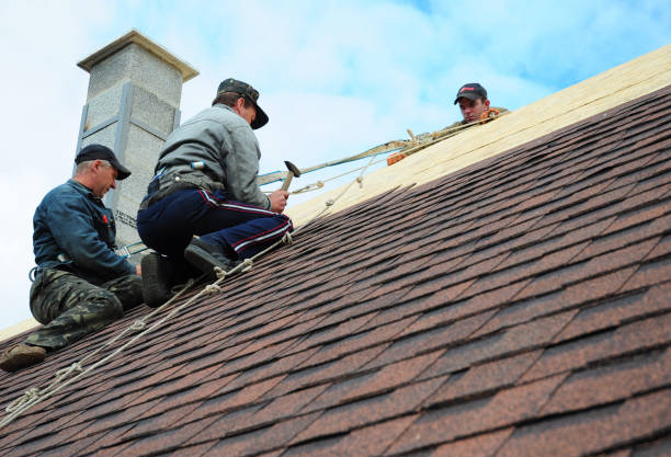 Best Commercial Roofing Services  in Lake Summerset, IL